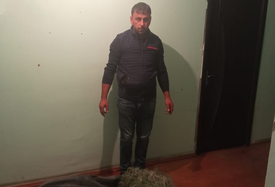 Qanunsuz balıq ovlayan şəxs cəzalandırılıb