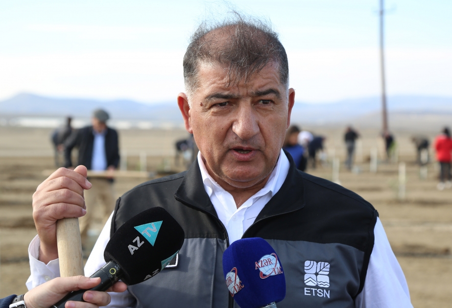 Firdovsi Əliyev: Sevindirici haldır ki, Azərbaycanda müxtəlif qurumlar peşə bayramlarını ağac əkməklə qeyd edirlər