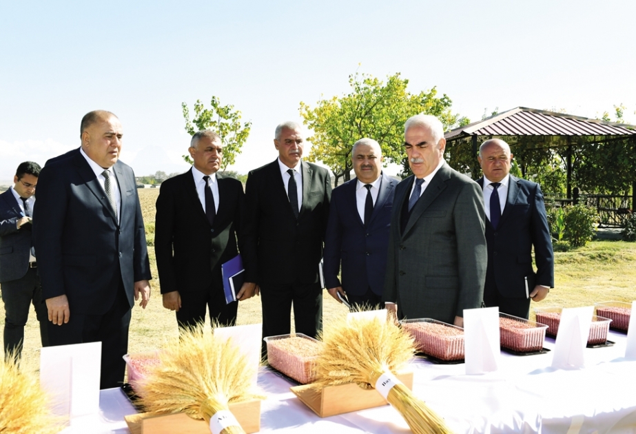 Naxçıvanda payızlıq taxıl əkini ilə bağlı səyyar müşavirə keçirilib