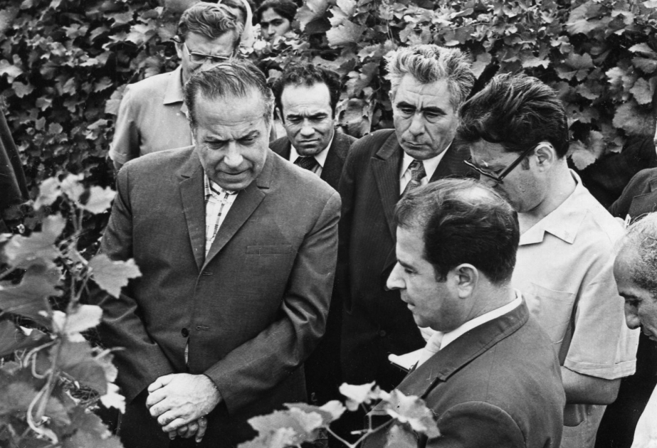 Мгновения жизни, подаренной народу: 1975 год