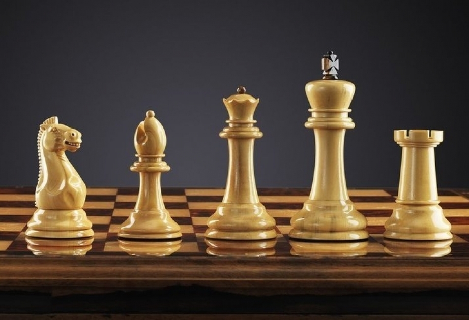 Azerbaijani chess player tops Skopje Open