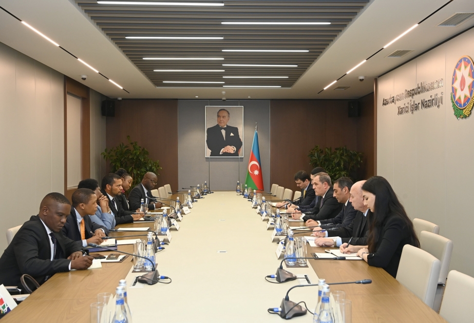 Deputy Minister: South Africa attaches importance to further development of cooperation with Azerbaijan