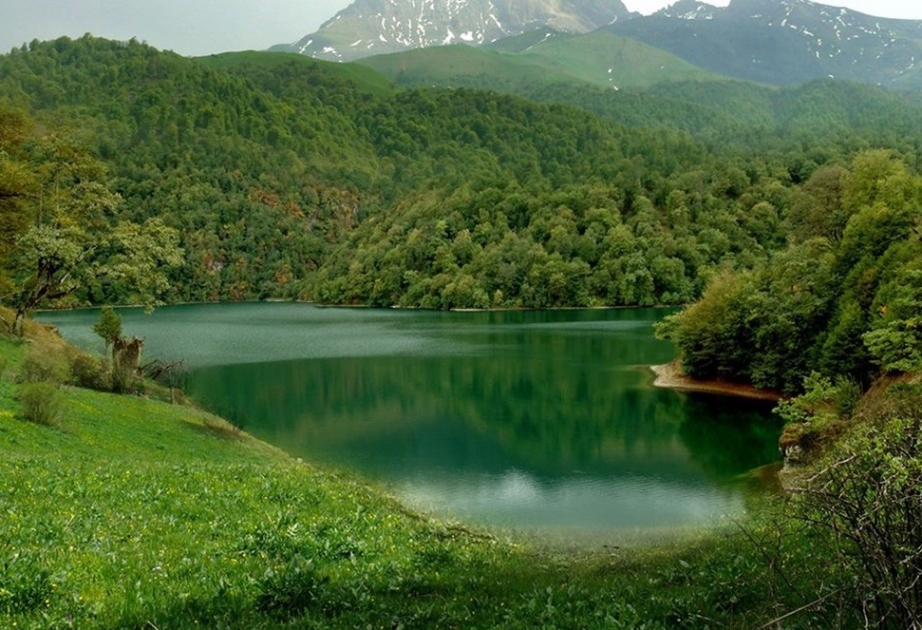 Azərbaycanda yeni milli parkların yaradılması ilə bağlı işlərə başlanılıb