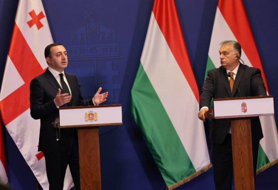 Hungary interested in receiving electricity from Azerbaijan through Georgia and Romania