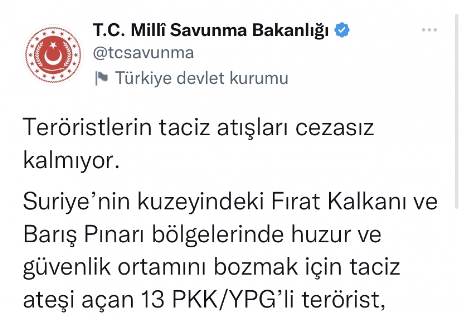 Suriyada daha 13 terrorçu zərərsizləşdirilib