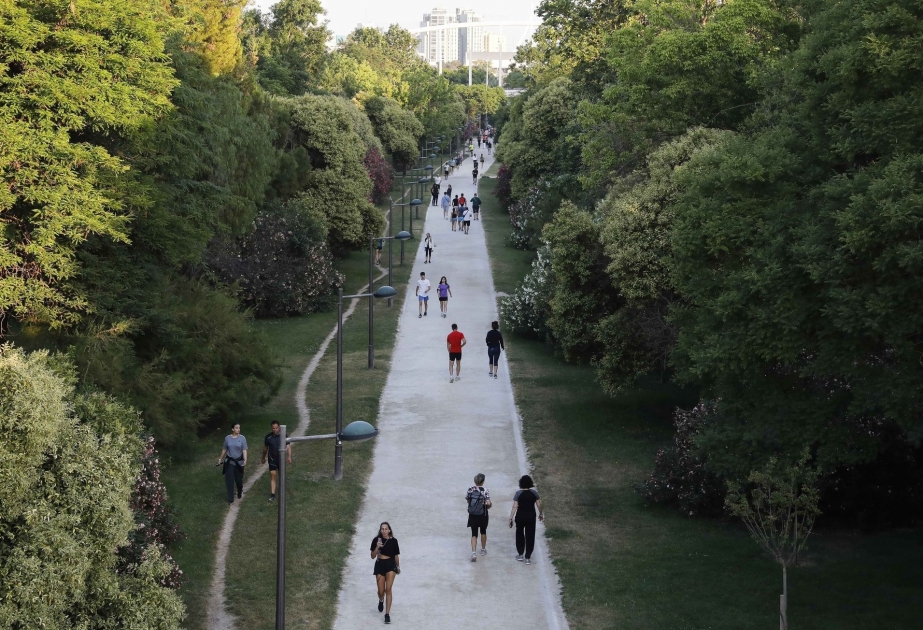 Valencia named European Green Capital 2024