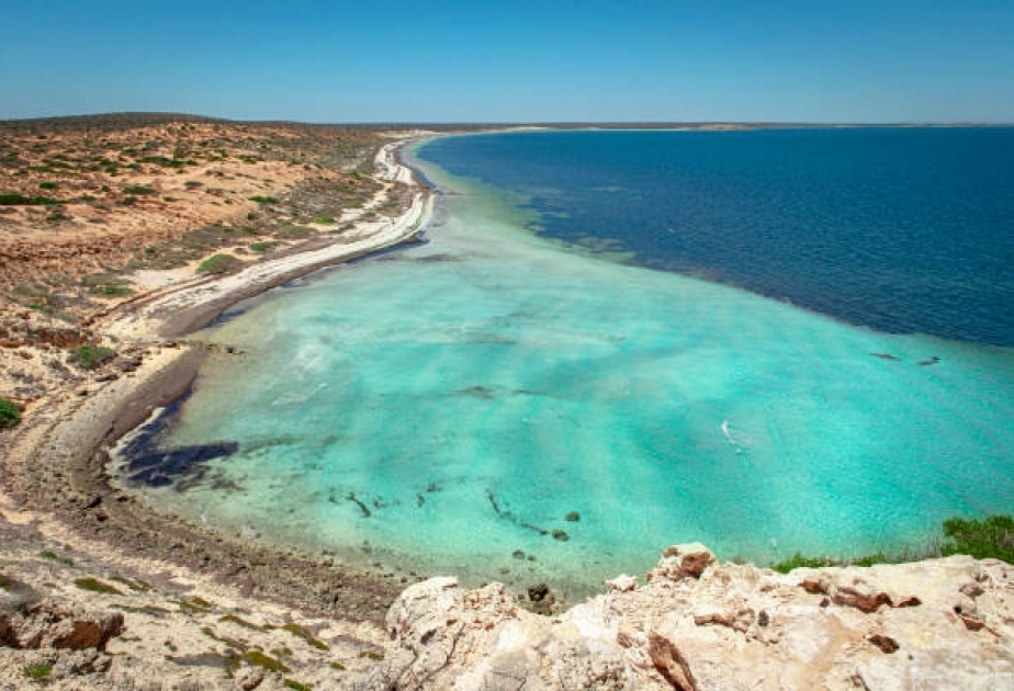 Şark Bay, Qərbi Avstraliya