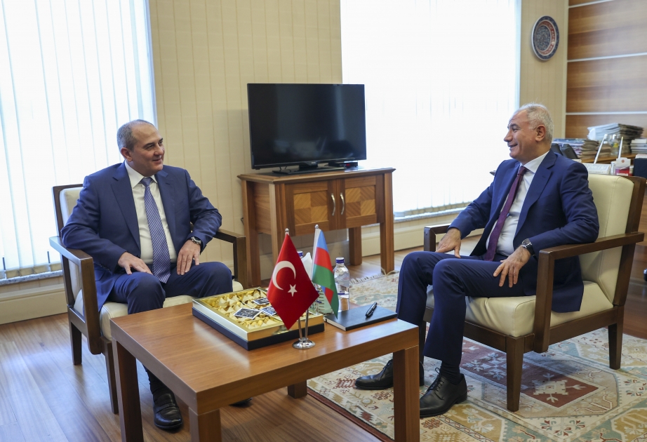 Ankarada YAP Sədrinin müavini ilə AK Parti Sədrinin xarici əlaqələr üzrə müavini arasında görüş olub VİDEO