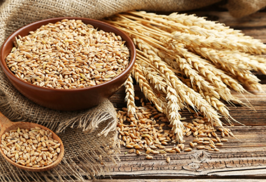 Aserbaidschan importiert von Januar bis Oktober Weizen im Wert von 262 Millionen US-Dollar