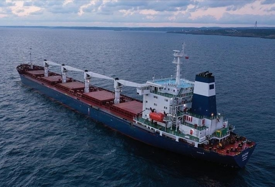 La Türkiye poursuit ses efforts pour la reprise des exportations de céréales de la mer Noire