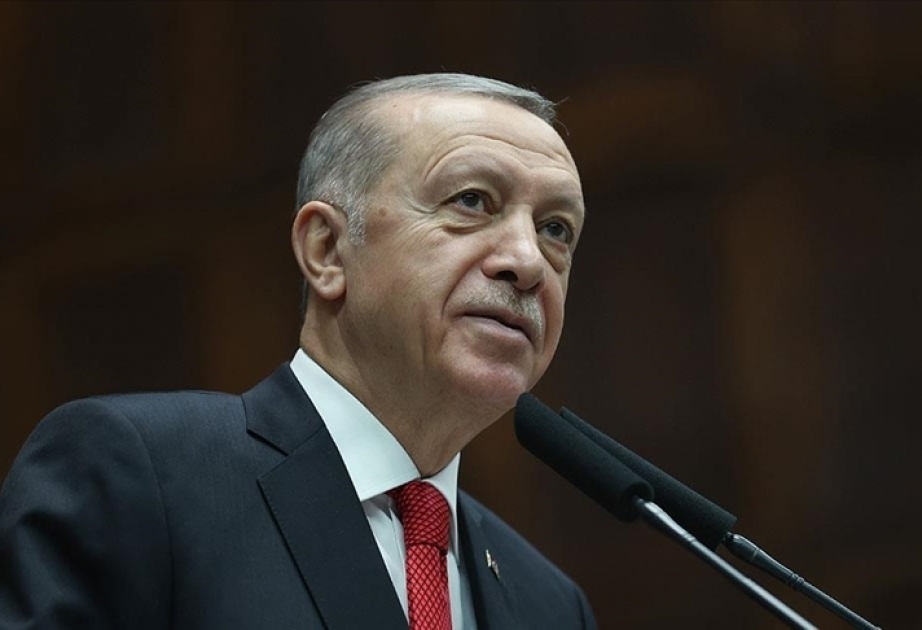 Black Sea grain export deal to resume, Turkish president announces
