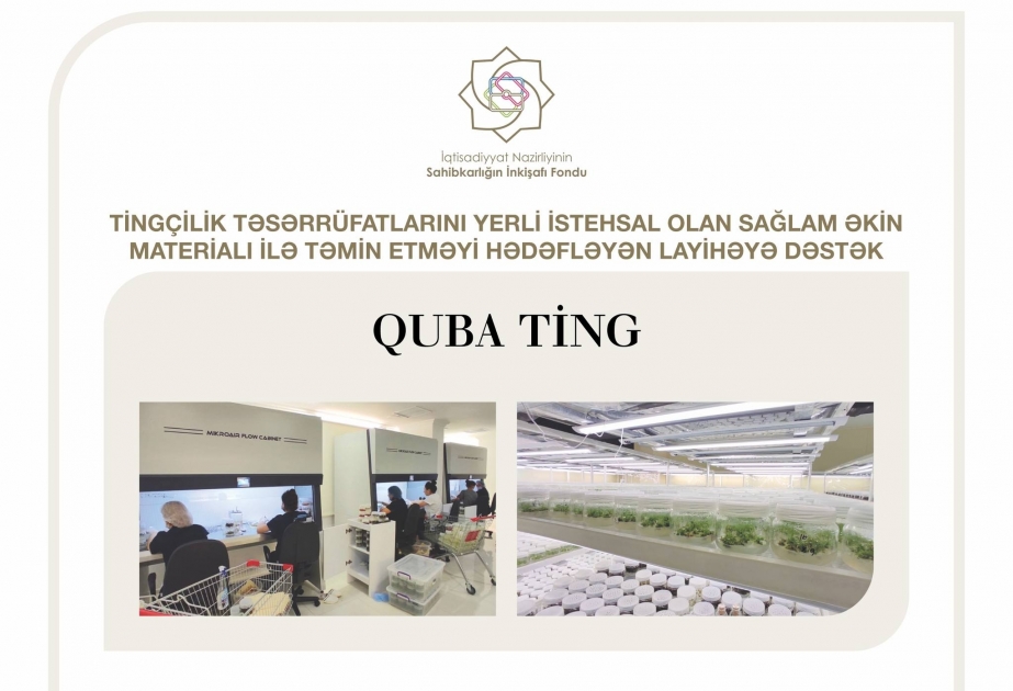 Sahibkarlığın İnkişafı Fondu “Quba Ting” MMC-yə güzəştli kredit ayırıb
