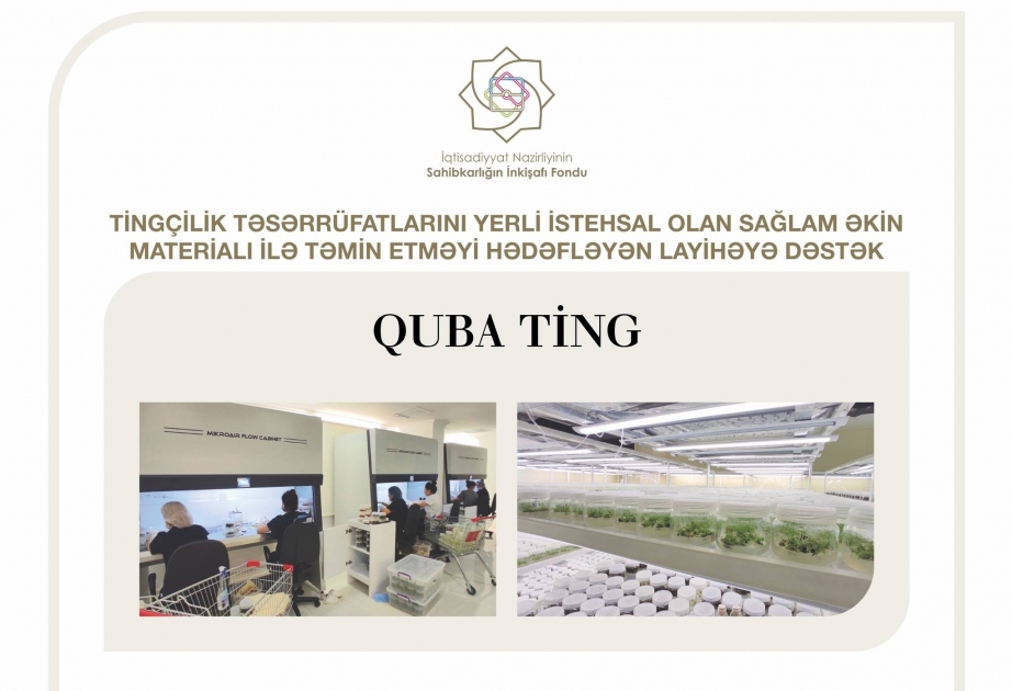 Entrepreneurship Development Fund allocates 200,000 ₼ in concessional loan to Guba Ting LLC