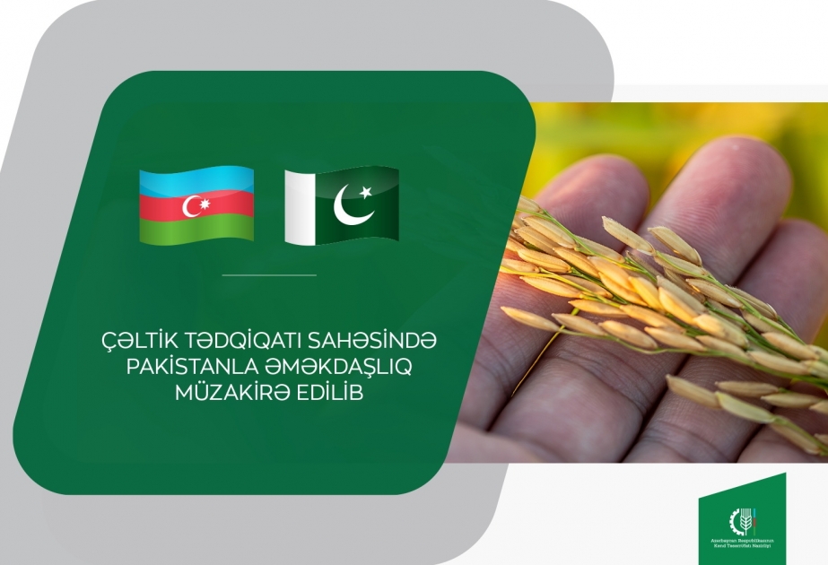 Çəltik tədqiqatı sahəsində Pakistanla əməkdaşlıq müzakirə edilib