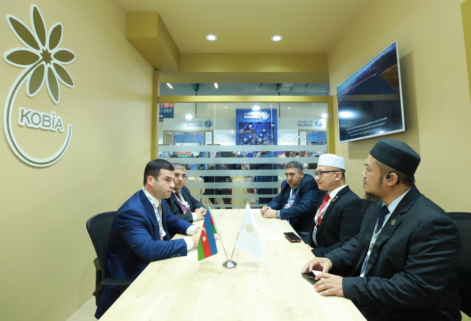 Azerbaijan, Malaysia discuss expansion of business ties