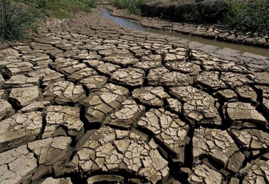 Le Programme des Nations Unies pour l'environnement publie son nouveau rapport
