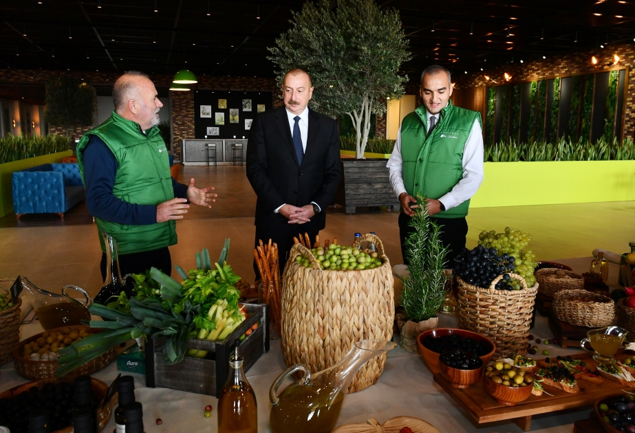 Präsident Ilham Aliyev weiht Verarbeitungsbetrieb für Olivenöl und Tafeloliven ein VIDEO