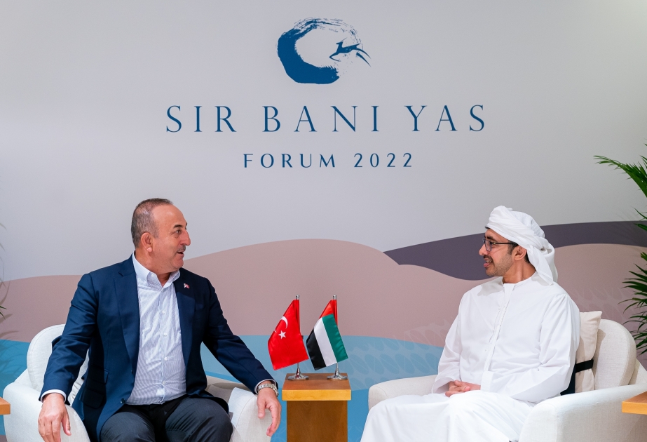 Foreign ministers discuss Türkiye-UAE ties, regional developments