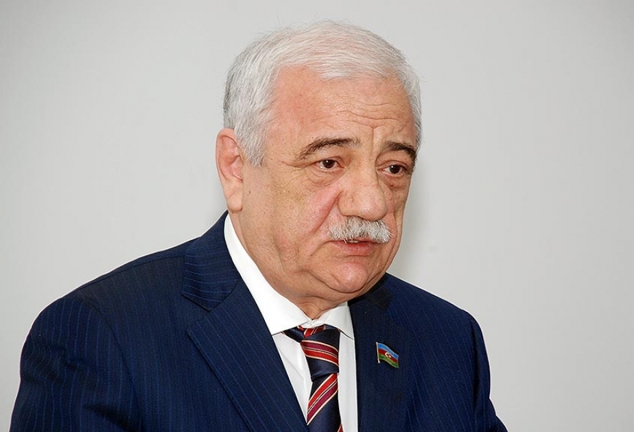 Güclü dövlət, güclü ordu strategiyasının məntiqi nəticəsi Zəfərimizdir