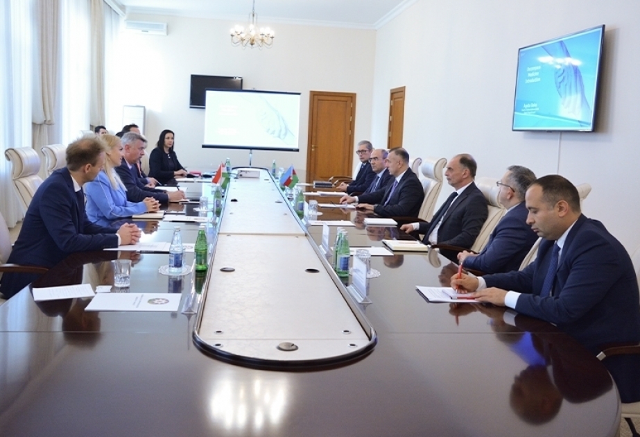 讨论阿塞拜疆与匈牙利制药业合作的前景