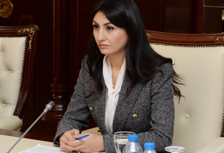 Samirə Musayeva: Azad edilmiş ərazilərdə uçota alınacaq vergiödəyiciləri 10 il müddətinə güzəştlər əldə edəcəklər