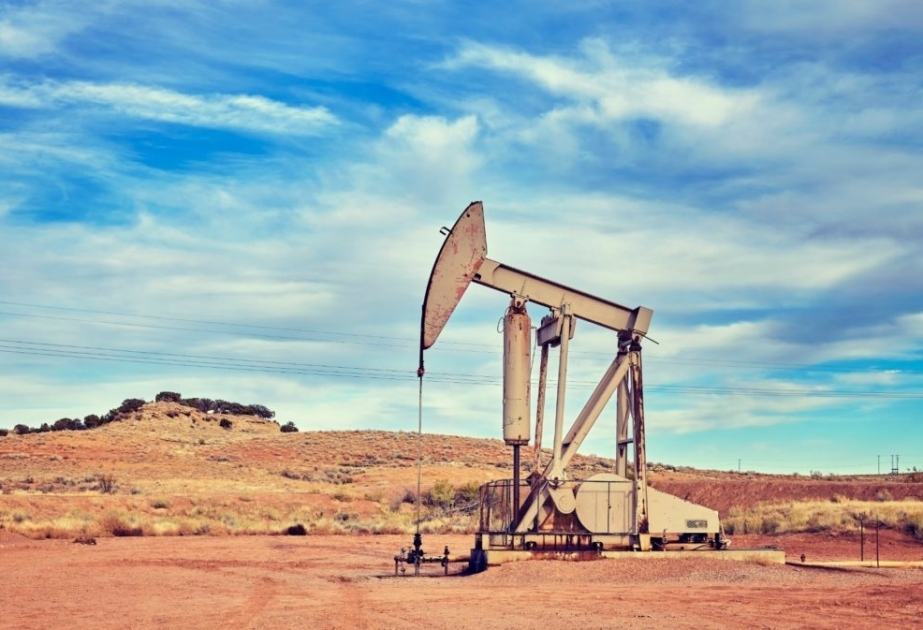 Azerbaijani oil sells for $95.96