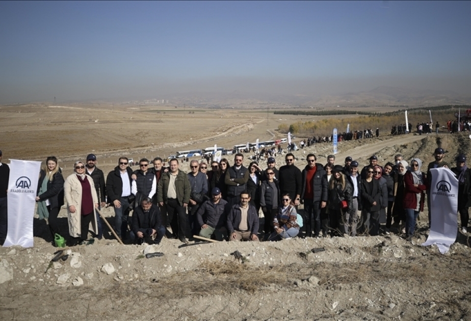 Anadolu Agency plants over 300 trees on National Afforestation Day