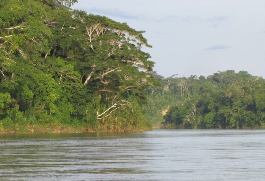 Peru's Manú National Park - globally renowned haven of terrestrial biodiversity protected by UNESCO