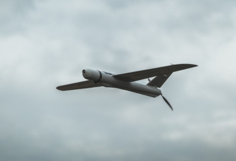 Грузия намерена производить совместно с Польшей новый беспилотный летательный аппарат