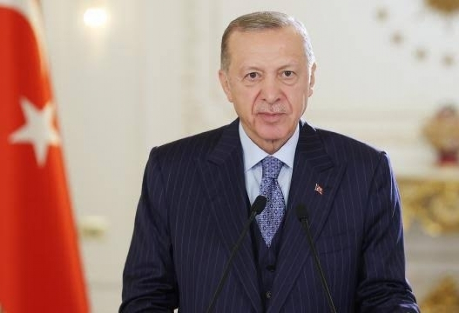 Türkiye to use Black Sea gas 'hopefully' next year: President