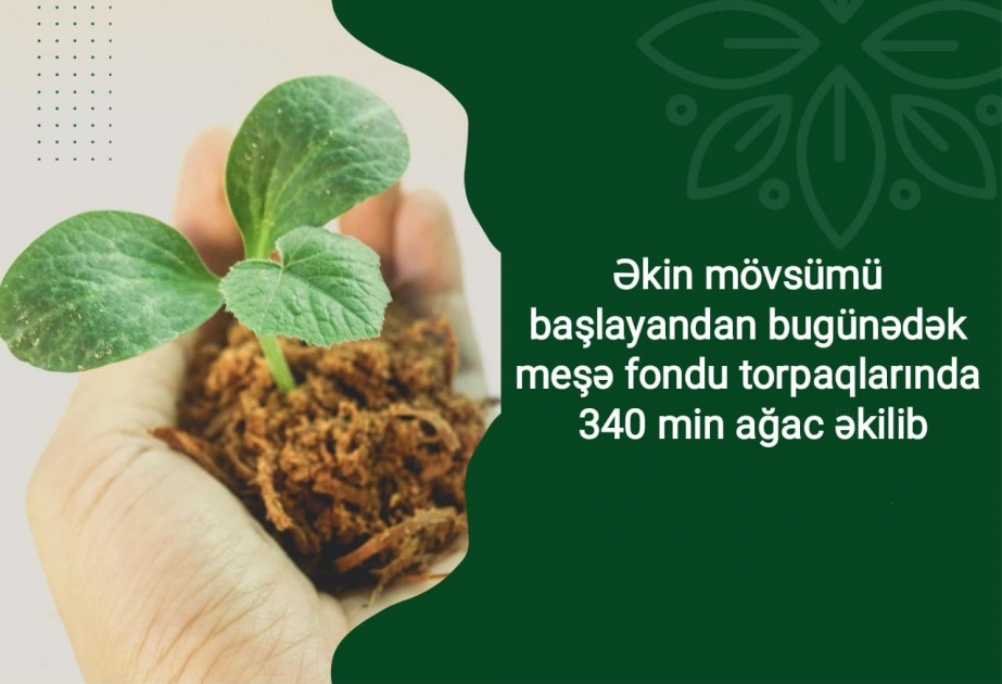 Payız əkin mövsümü başlayandan bu günədək meşə fondu torpaqlarında 340 min ağac əkilib