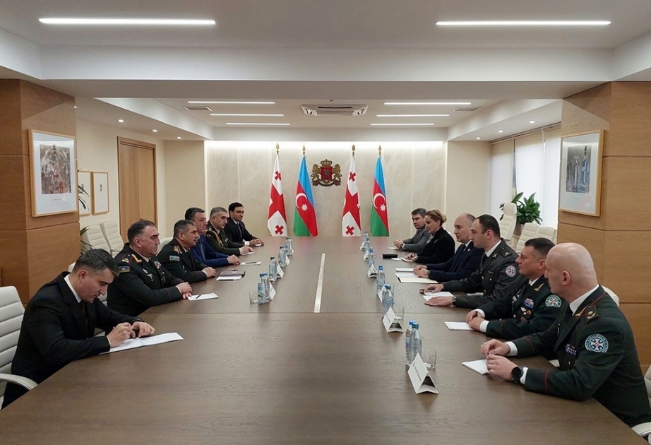 Azerbaijani, Georgian defense ministers discuss regional security and development of military cooperation