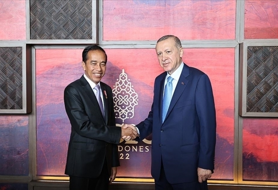 Turkish, Indonesian presidents meet in Bali for talks on ties