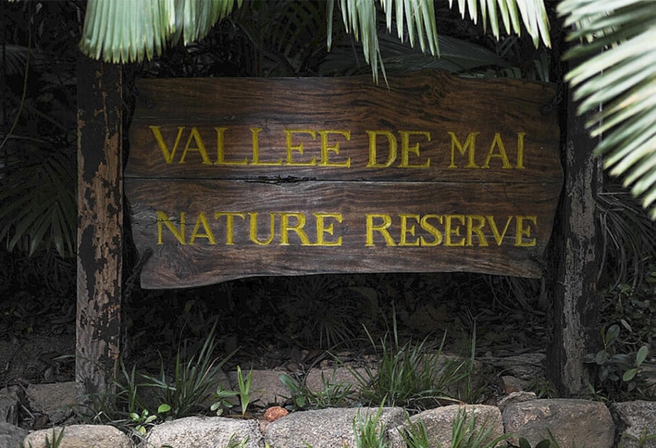 Seychelles' Vallée de Mai Nature Reserve - property with distinctive natural beauty protected by UNESCO