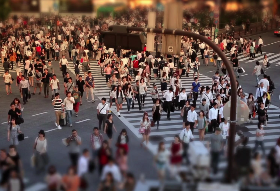 World population hits 8 billion
