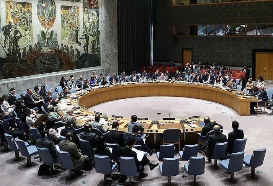 Centrafrique : le Conseil de sécurité de l'ONU proroge d’une année le mandat de la Minusca