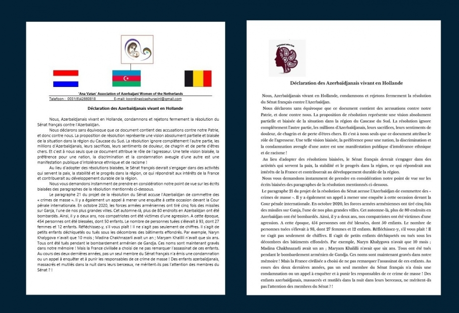 La comunidad azerbaiyana en los Países Bajos protestó contra el proyecto de resolución del Senado francés