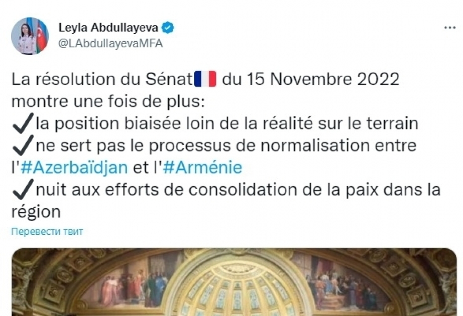 Лейла Абдуллаева: Резолюция Сената Франции наносит ущерб усилиям по миростроительству в регионе