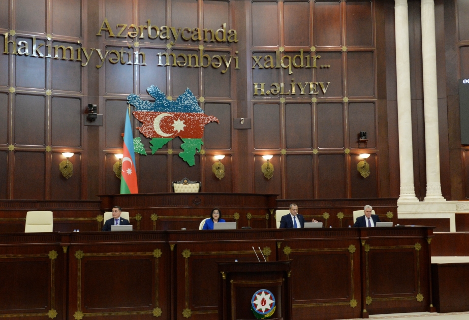 Сахиба Гафарова: Документ, принятый Сенатом Франции, является злонамеренной политической акцией против Азербайджана