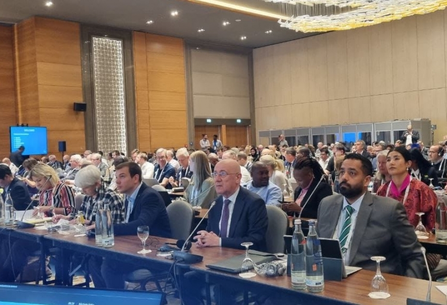 Beynəlxalq Paralimpiya Komitəsinin Baş Assambleyasında Ermənistanın Azərbaycana qarşı təxribat cəhdinin qarşısı alınıb
