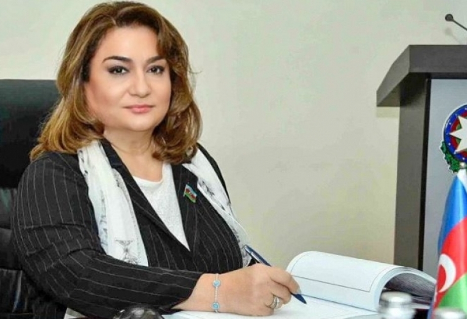 Fransa Senatının qəbul etdiyi qətnamə sülh prosesinə mane olmaqla yanaşı, terrora və işğalçıya dəstək verir