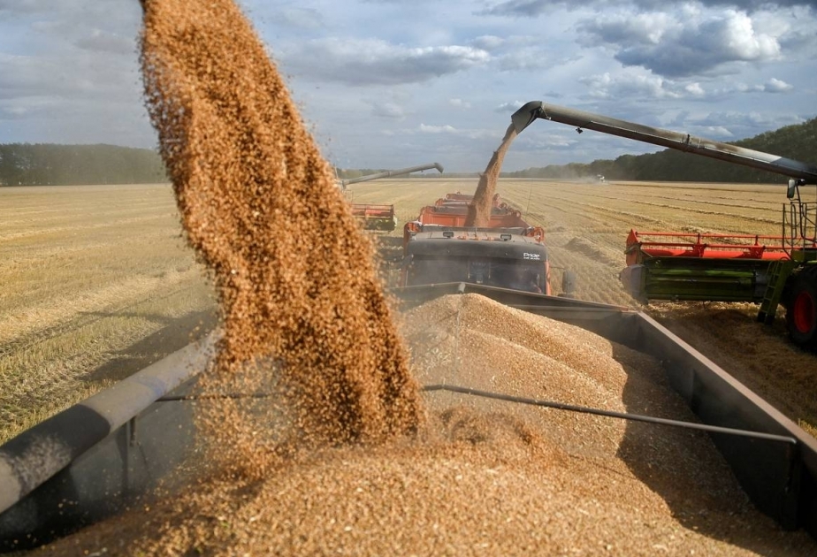 Türkiye spoke with Russia about sending grain to African countries free of charge: Turkish President