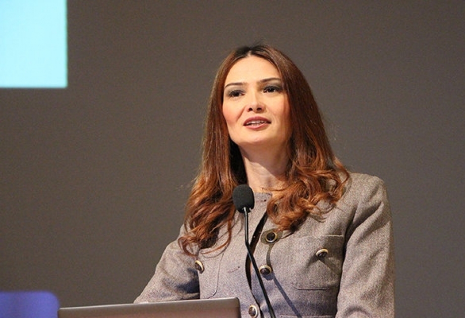 Qənirə Paşayeva: Azərbaycan əleyhinə qəbul edilən növbəti qərəzli qətnamə ölkəmizin suverenliyinə qarşı ədalətsiz yanaşmanın təzahürüdür