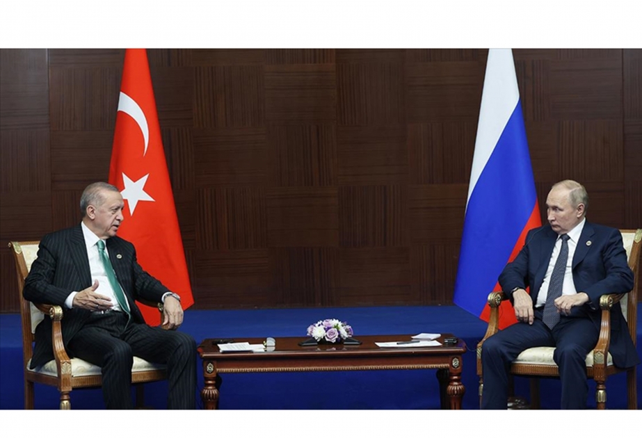 Turkish president appreciates Putin's 'constructive stance' on Black Sea grain deal
