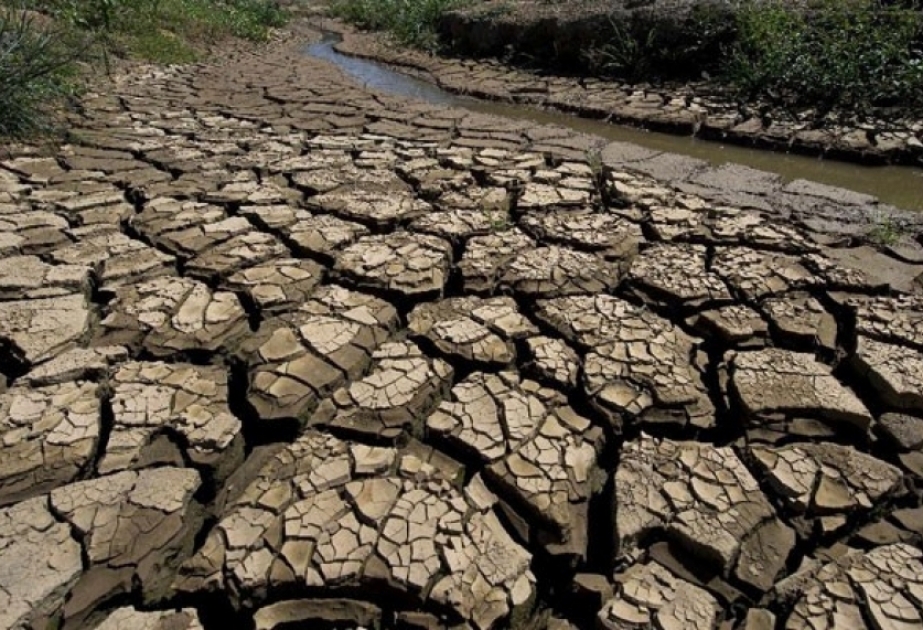 La situation humanitaire dans la Corne de l’Afrique reste toujours « désastreuse » en raison d’une grave sécheresse