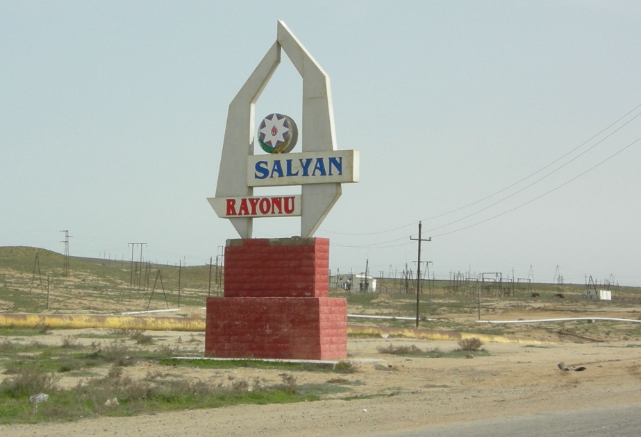 Salyanda əhaliyə göstərilən ödənişli xidmətlərin həcmi 29,9 faiz artıb