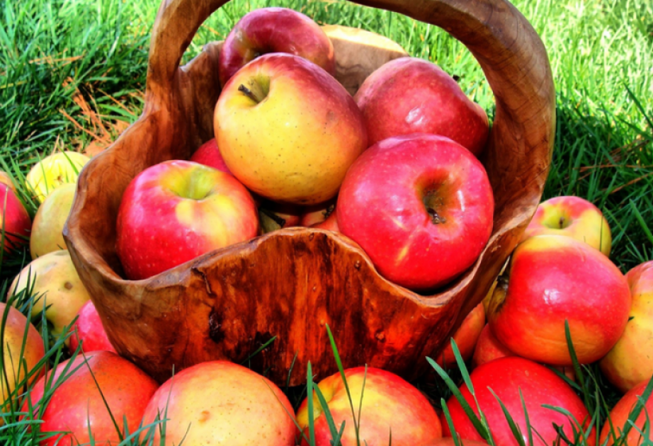 L'Azerbaïdjan a légèrement accru ses exportations de pommes