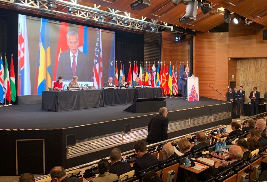 Azərbaycan nümayəndə heyəti NATO Parlament Assambleyasının 68-ci sessiyasında iştirak edir