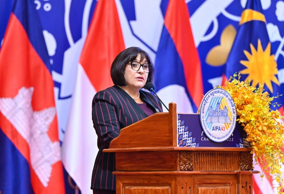 Sahibə Qafarova: Azərbaycan beynəlxalq hüququn norma və prinsiplərinə əsaslanan müstəqil siyasət aparır