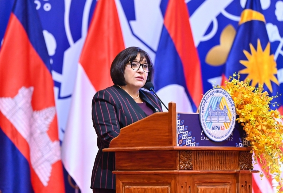 Сахиба Гафарова: Азербайджан проводит независимую политику, основанную на нормах и принципах международного права